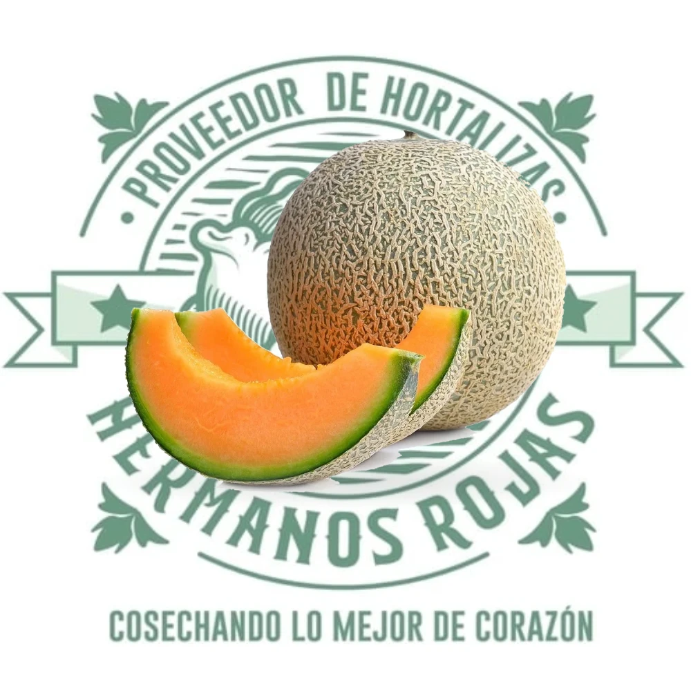 MELON