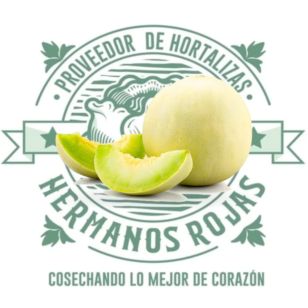 MELON VALENCIANO