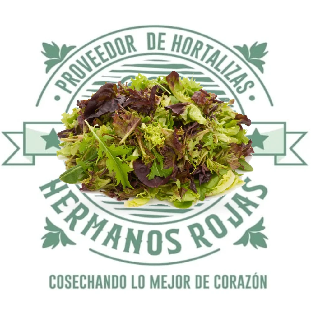 MIX HOJA BABY