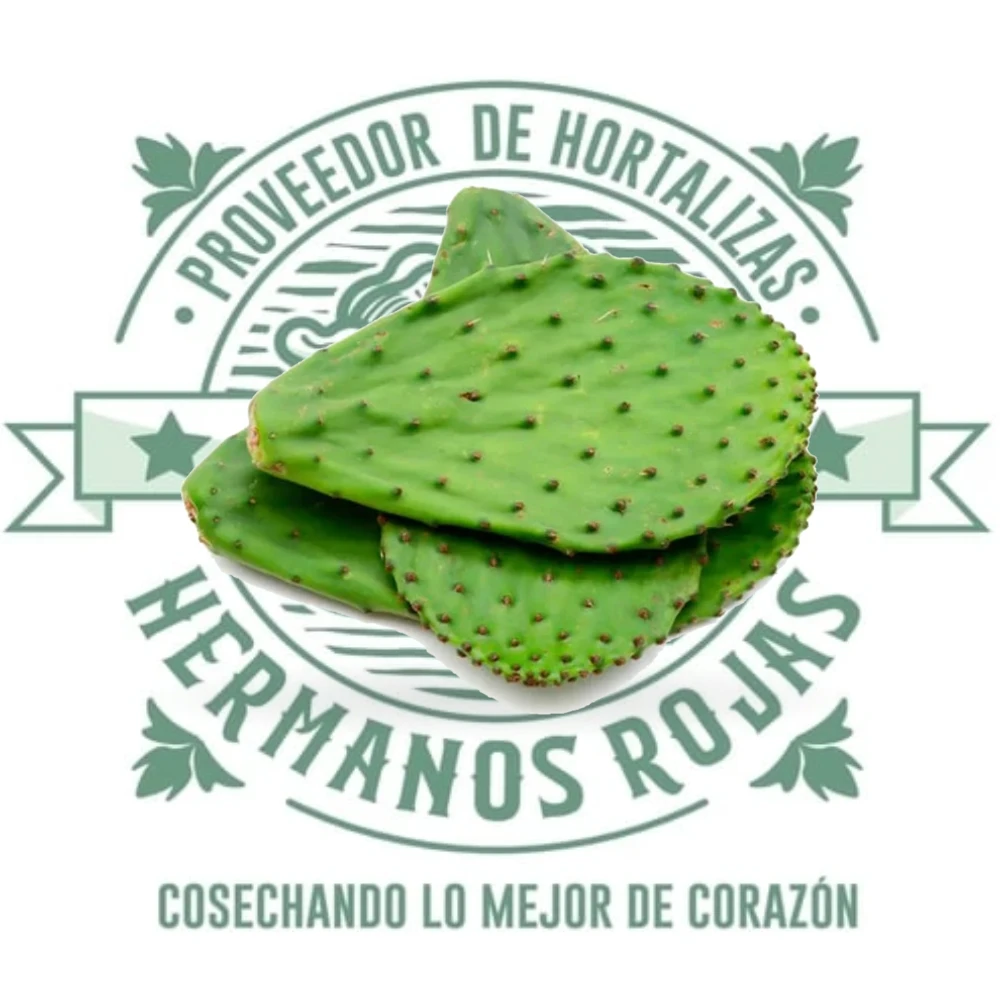 NOPAL CON ESPINAS