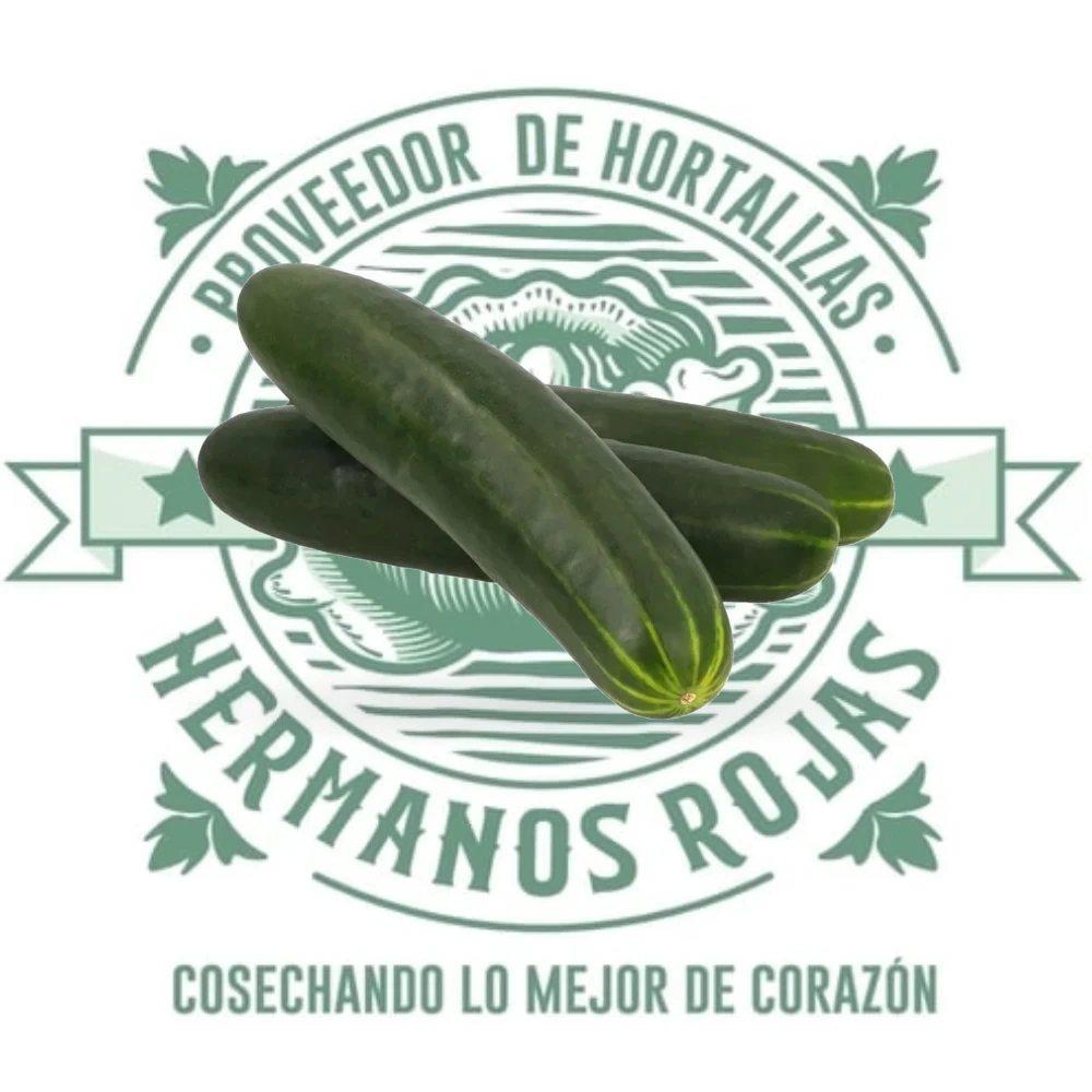 PEPINOS