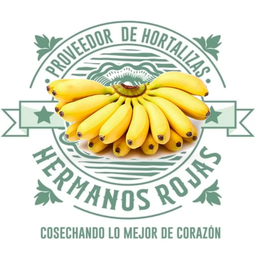 PLATANO DOMINICO