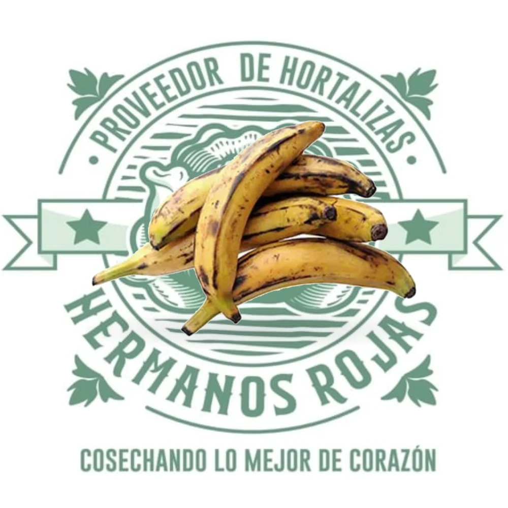 PLATANO MACHO