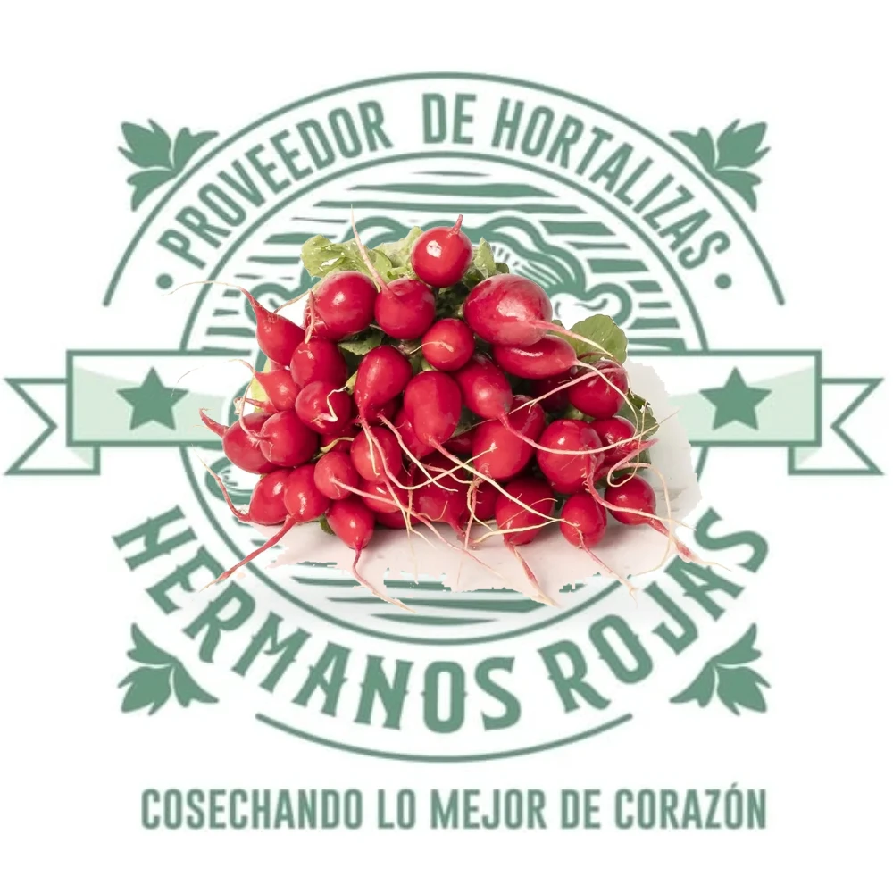 RABANOS