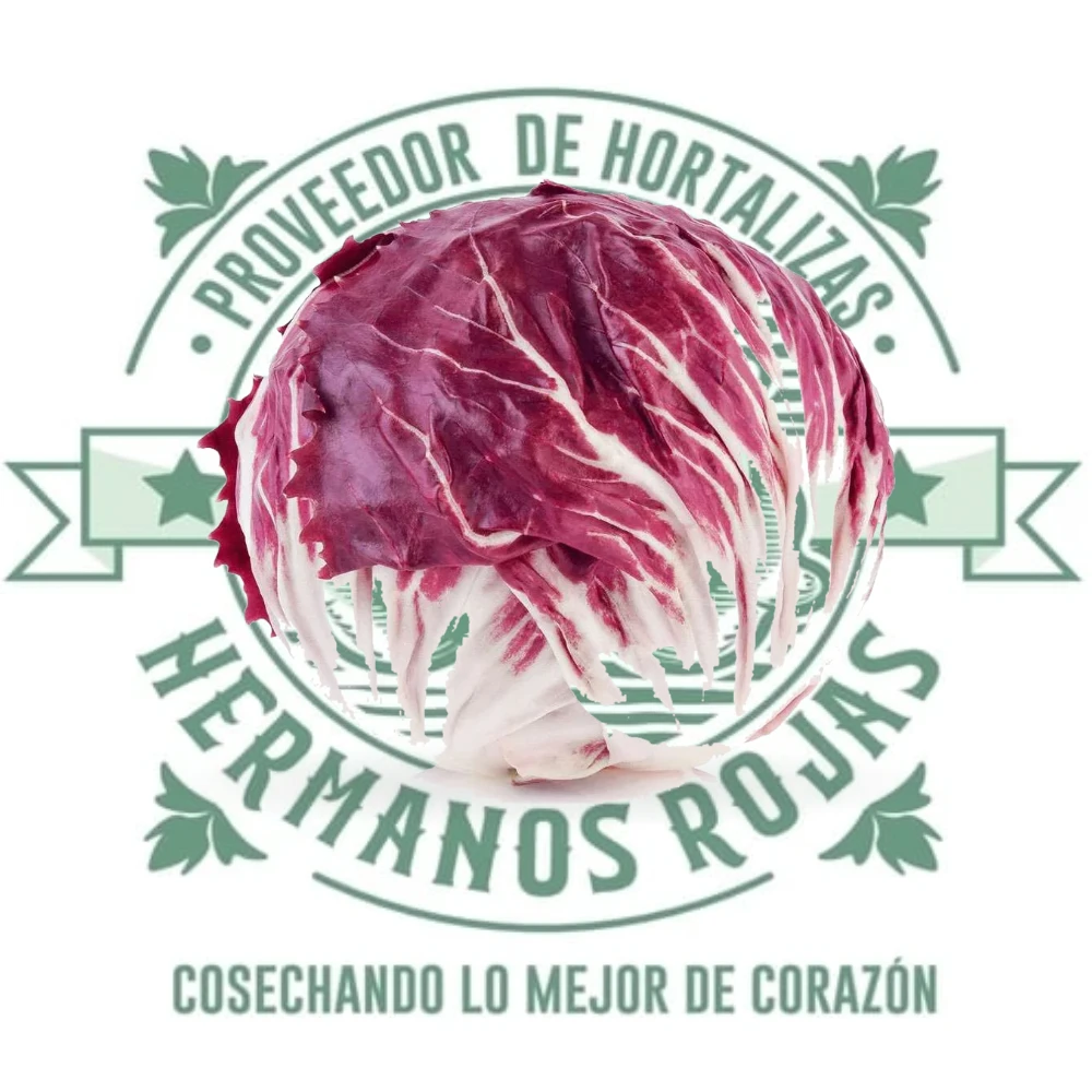 RADICCHIO