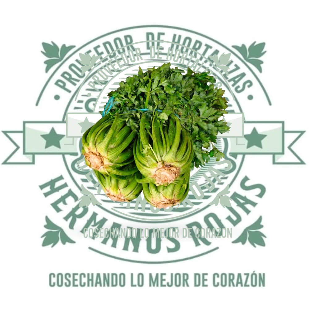 ROLLO DE APIO