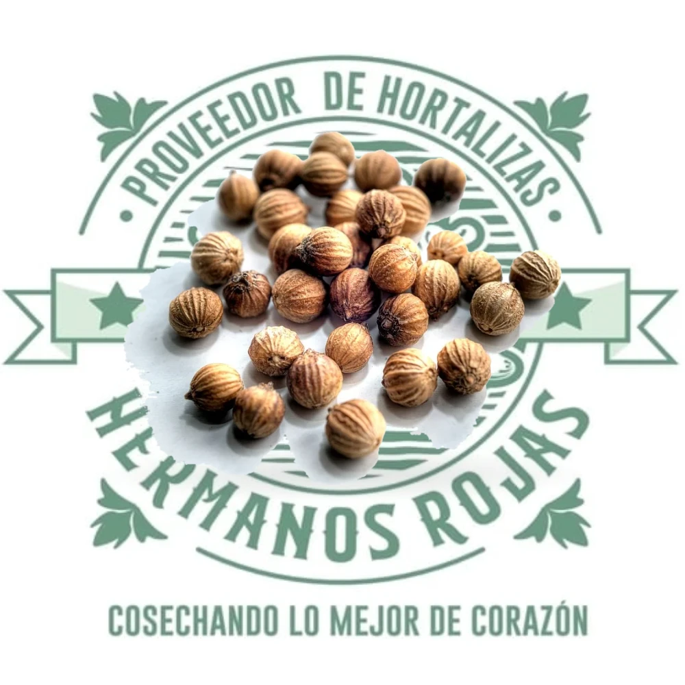 SEMILLA DE CILANTRO