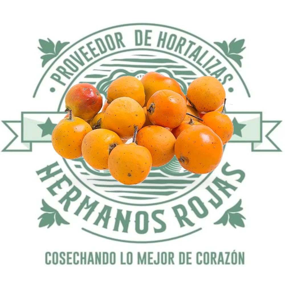 TEJOCOTE