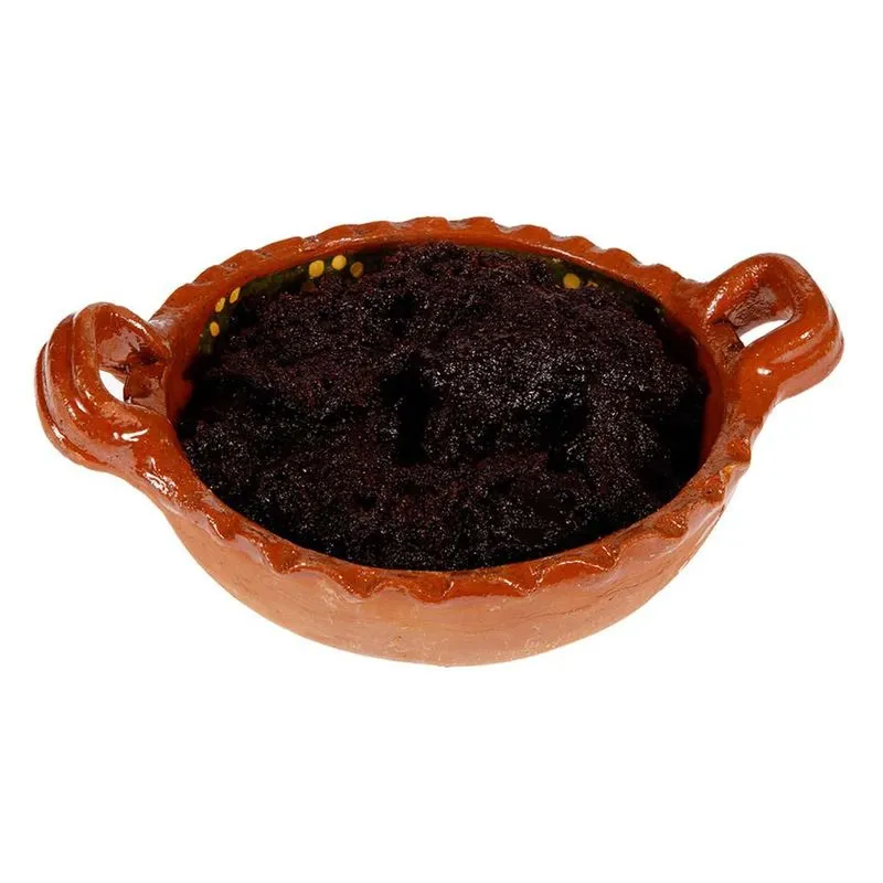 MOLE OAXACA EN PASTA 