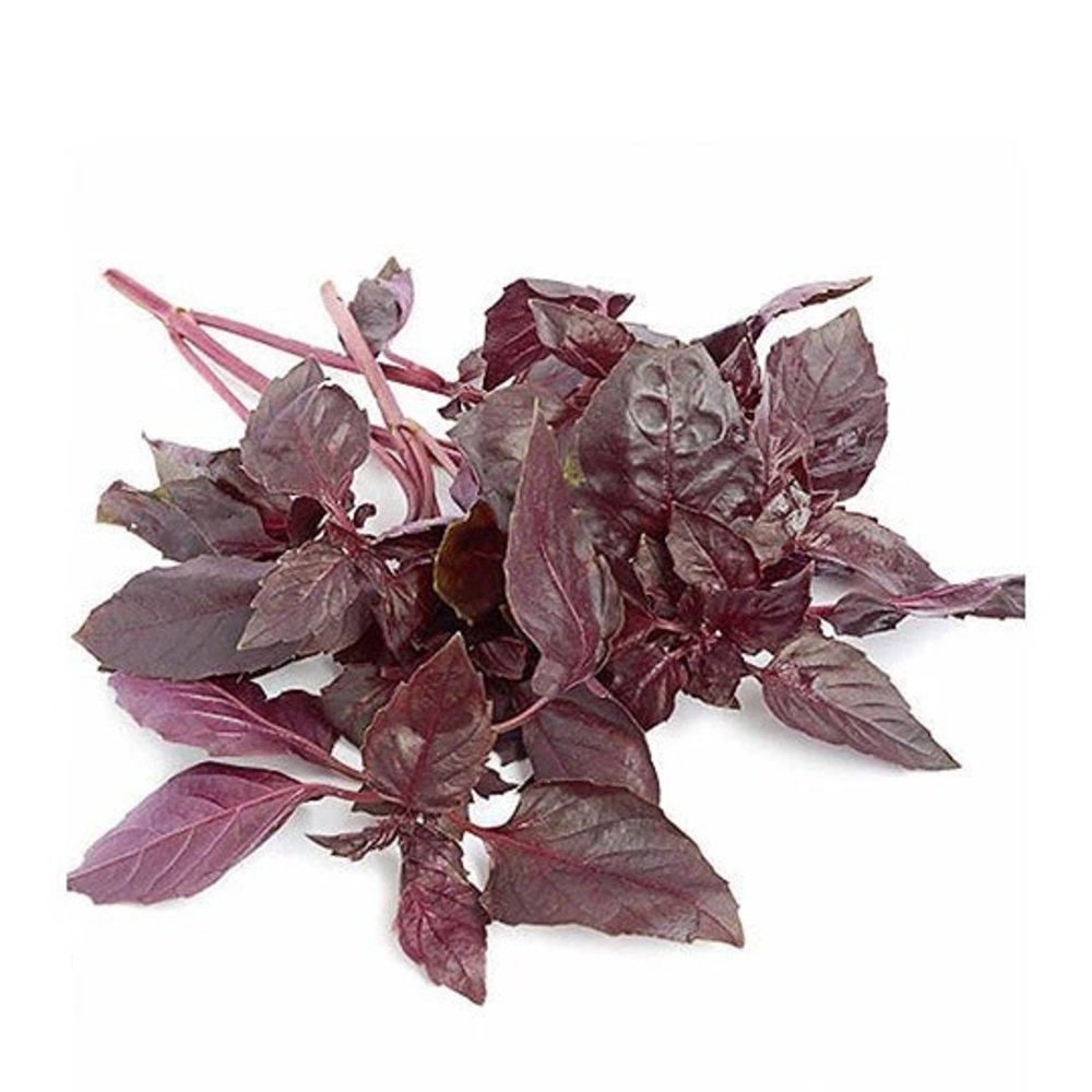 ALBAHACA MORADA