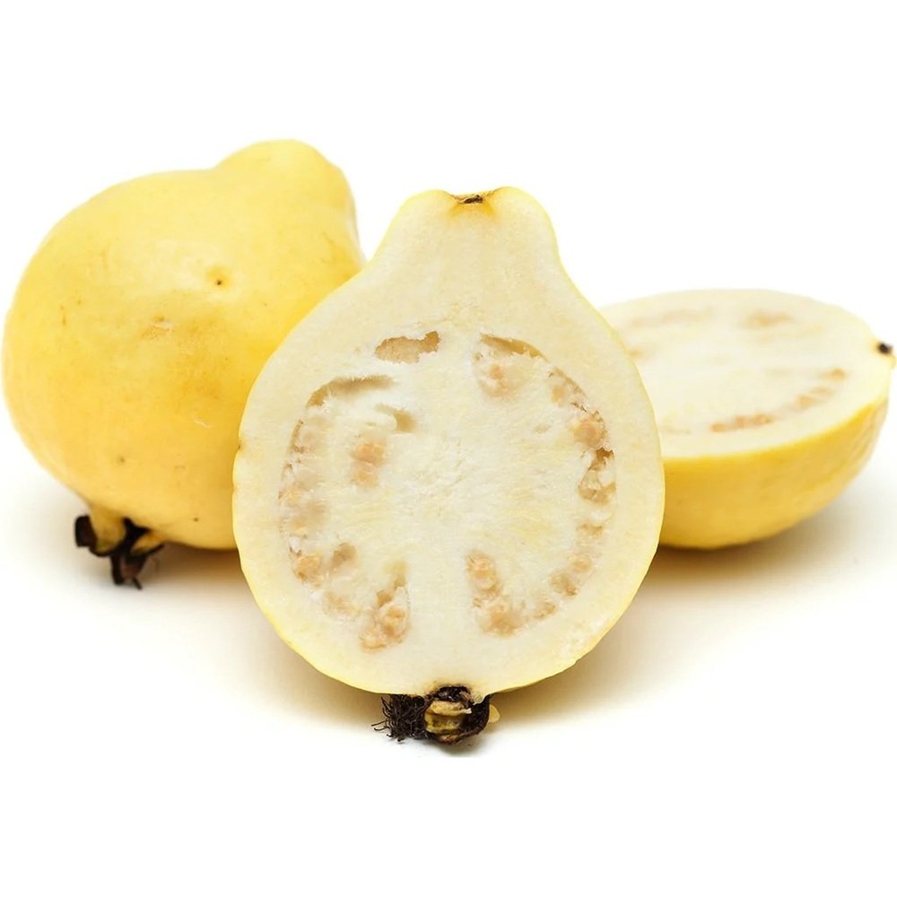 GUAYABA