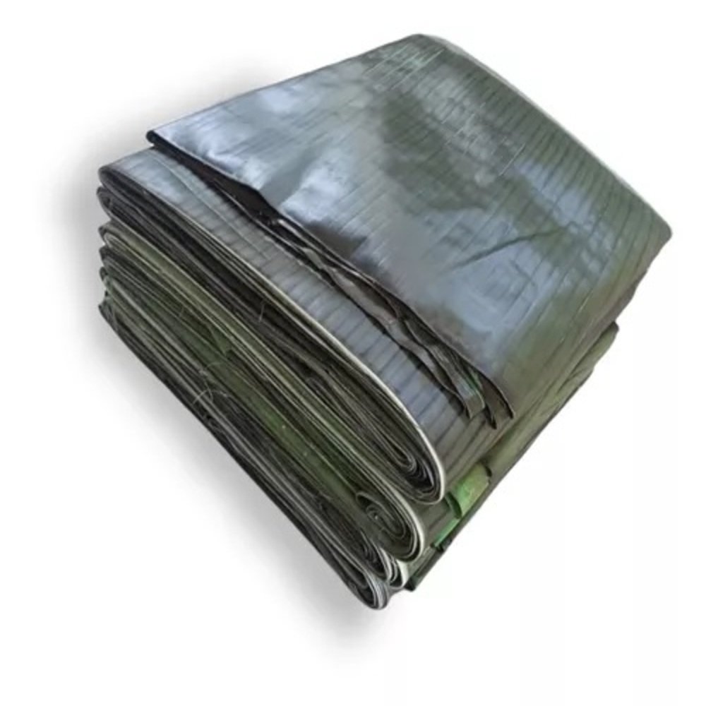 HOJA DE PLATANO ASADA