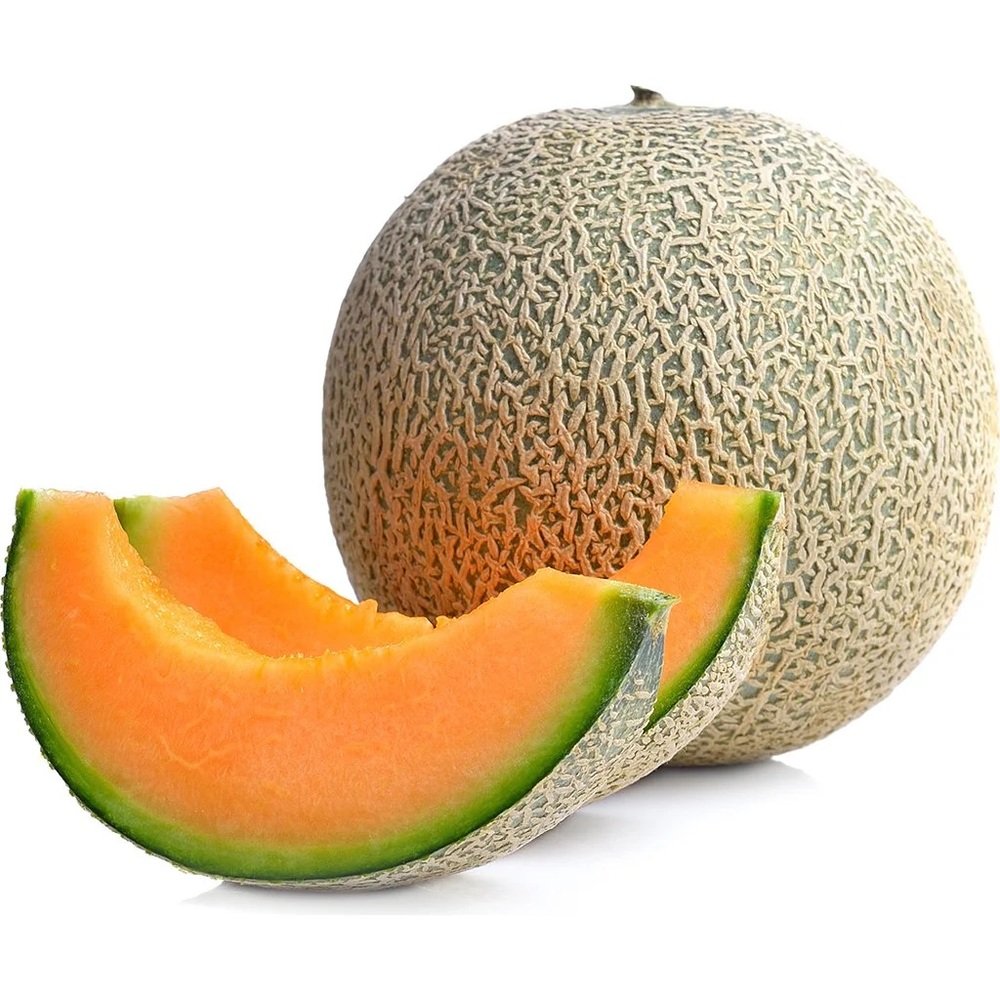 MELON