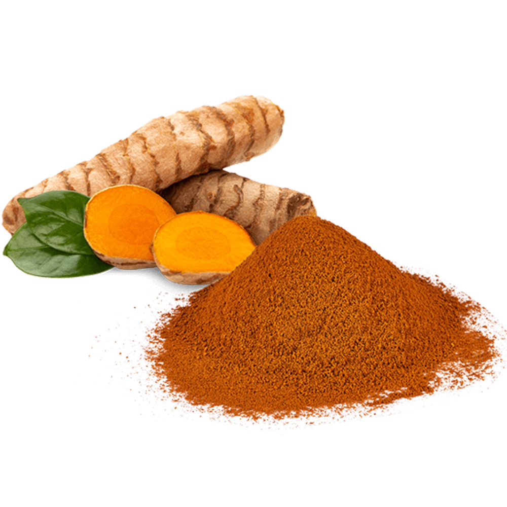 CURCUMA EN POLVO