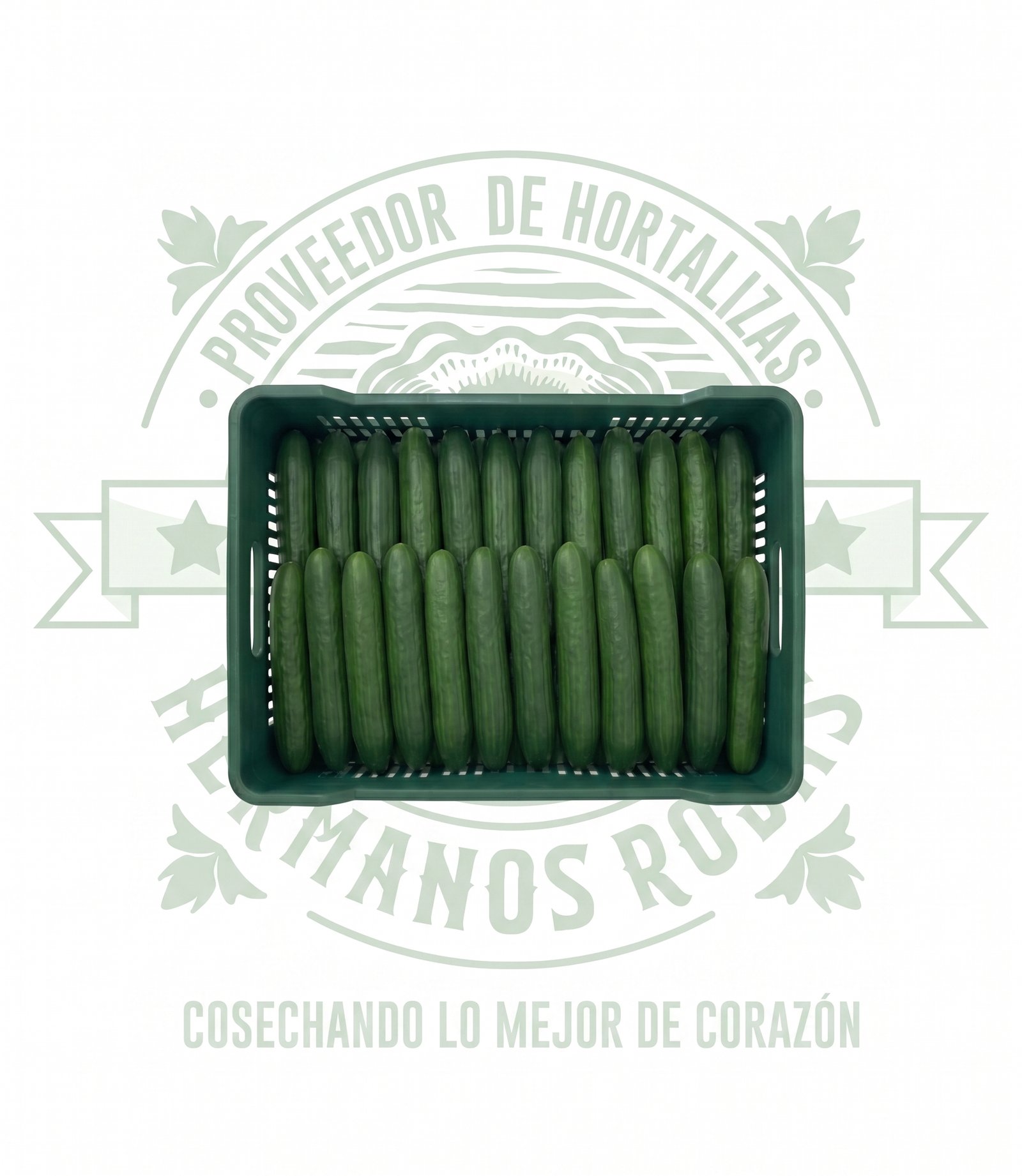 CAJA DE PEPINO 