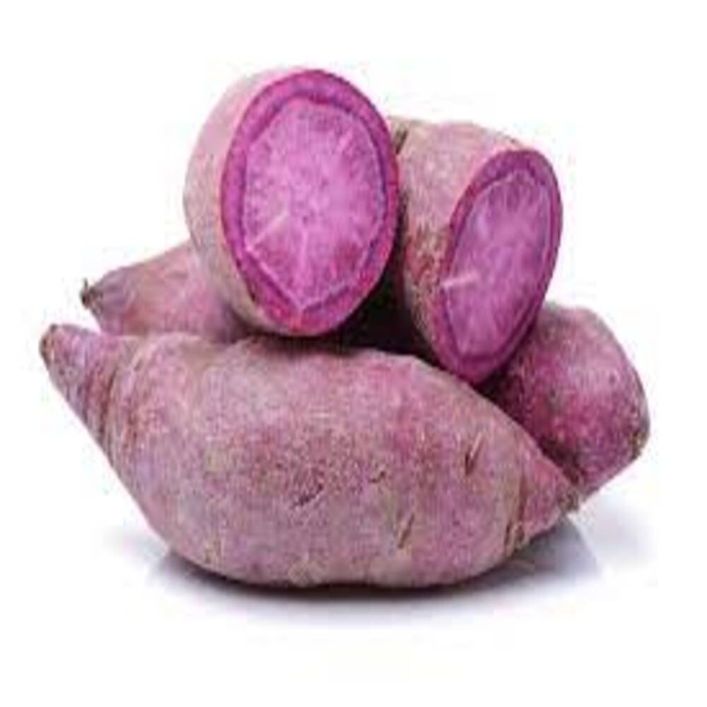 CAMOTE MORADO