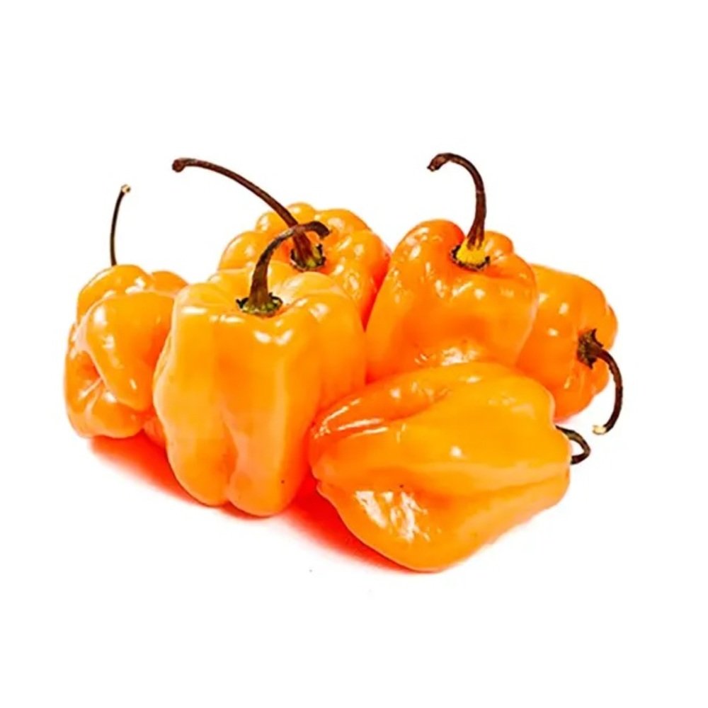 CHILE HABANERO