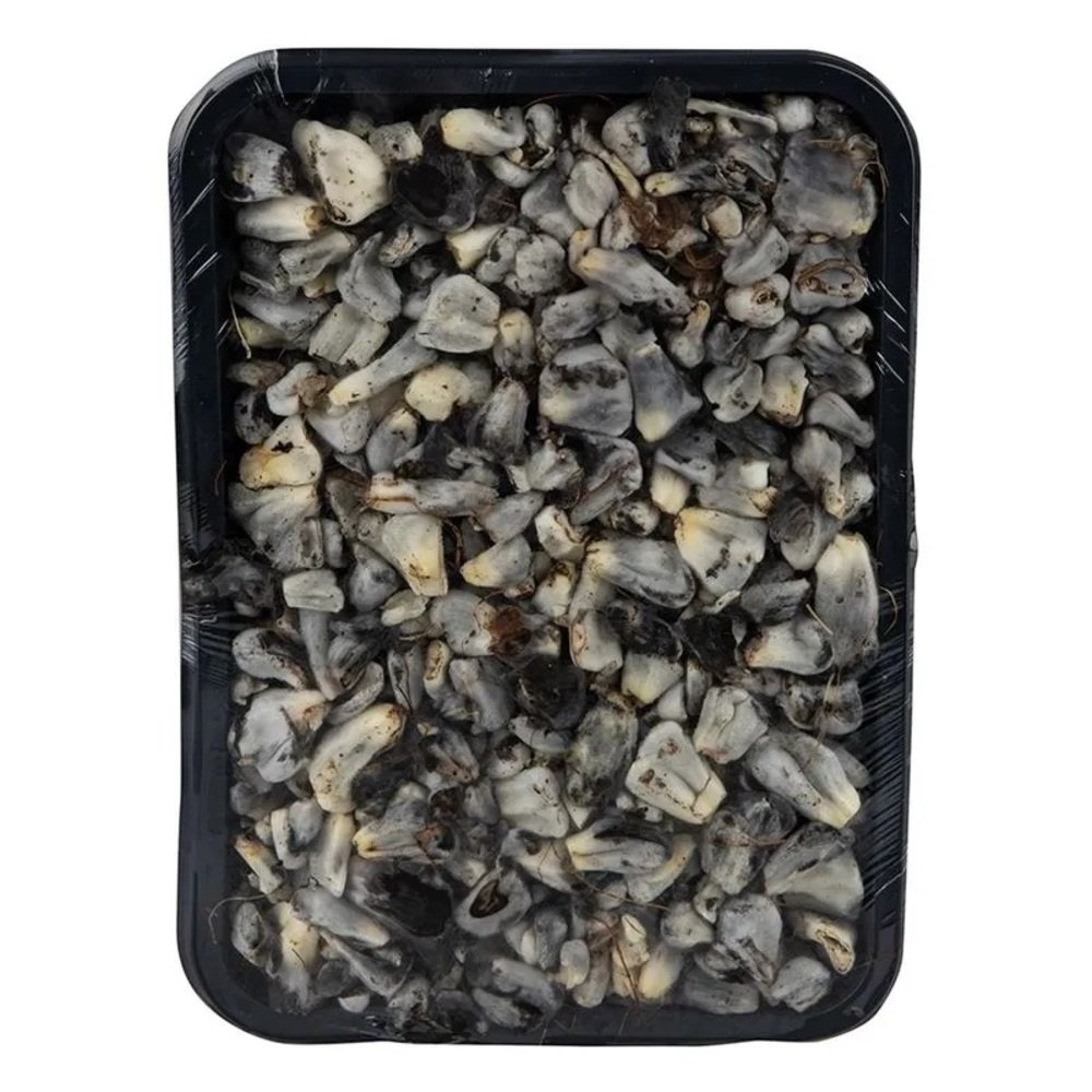 CHAROLAS HUITLACHOCHE