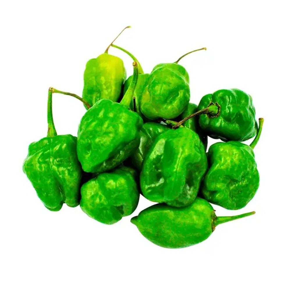 CHILE HABANERO VERDE